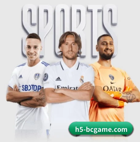 每个板块围绕一个运动项目展开 - 多运动项目内容板块(b sports)